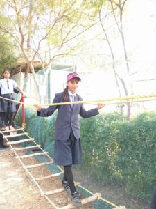 Picnic – 4